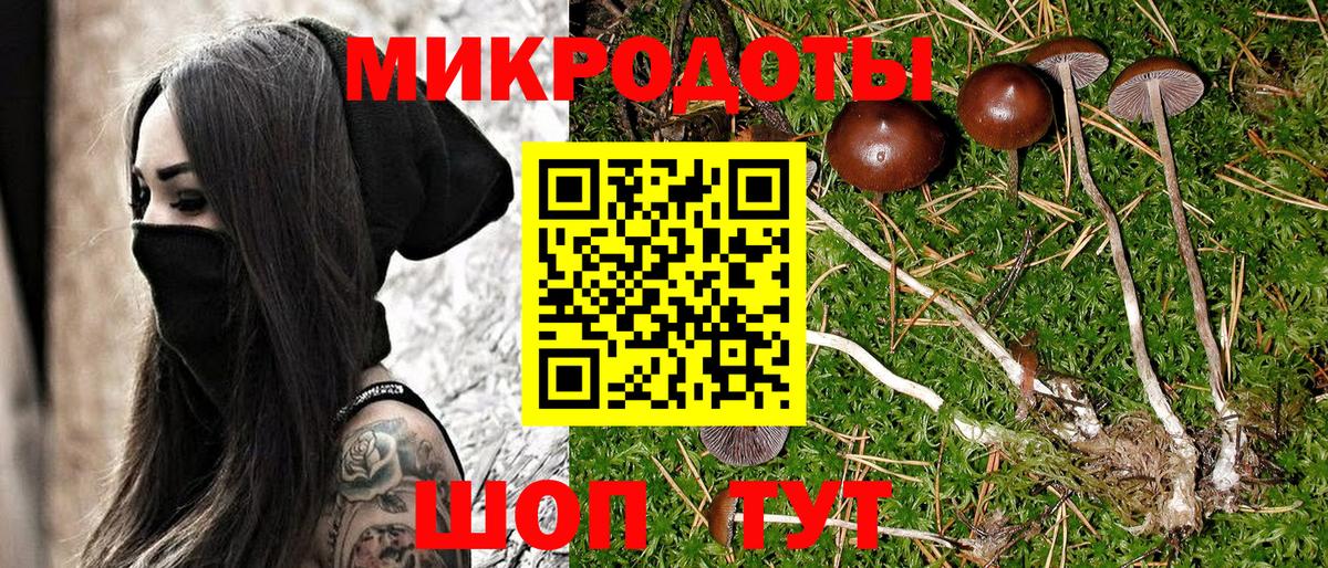 Галлюциногенные грибы мухоморы Алатырь