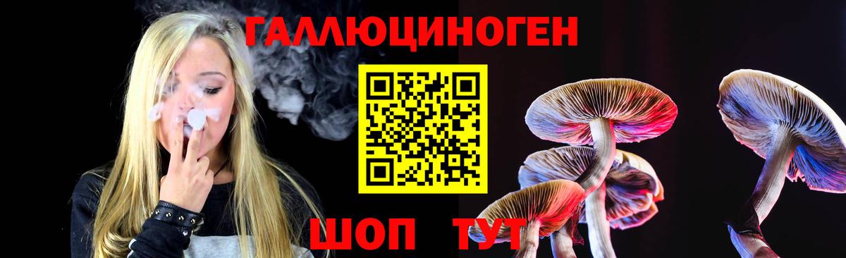 Псилоцибиновые грибы Magic Shrooms  Вход с VPN  Алатырь  Галлюциногенные грибы ЛСД 
